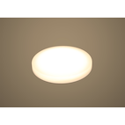 Homewell flush mount online led light