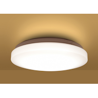 LED White Flush Mount Light, 10-in Bottom_Plunge