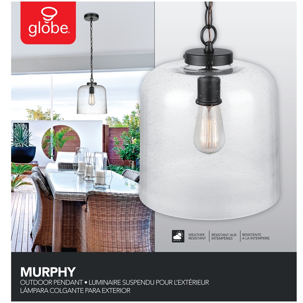 Globe Electric Murphy Seeded Glass Shade Indoor/Outdoor Ceiling Pendant