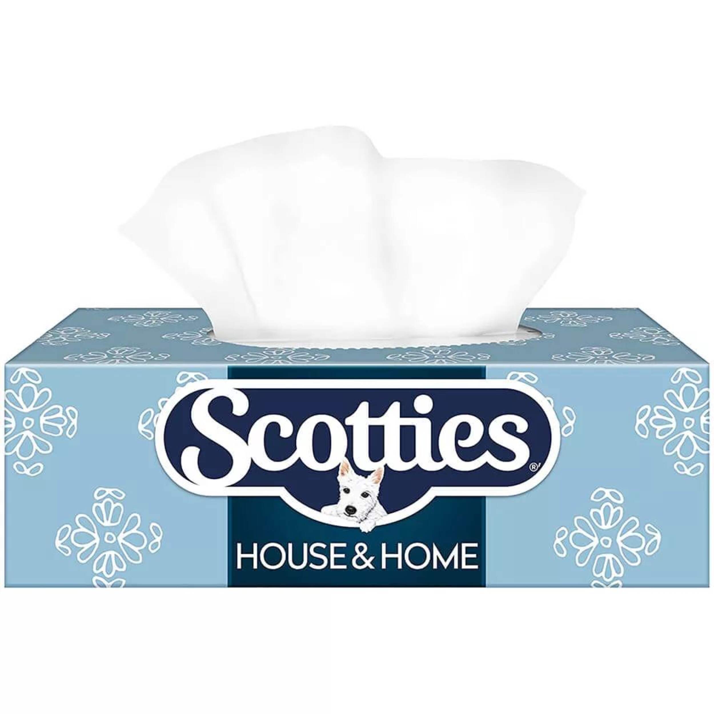 Scotties Facial Tissue, 2-Ply, 126 Sheeets, 6-pk Front_Elevated