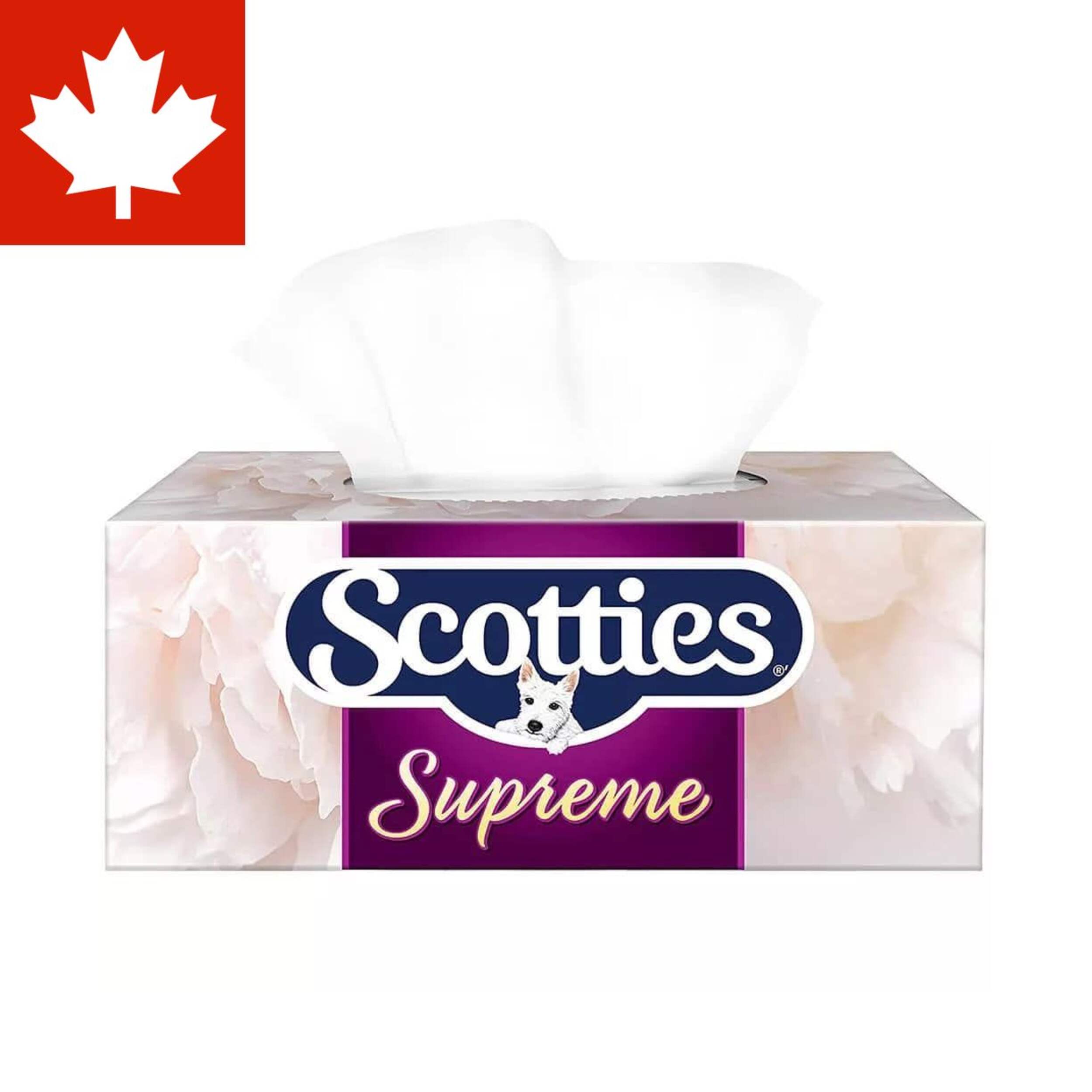 Scotties Supreme Facial Tissue, 3-ply, 81 Sheets, 6-pk Front_Elevated