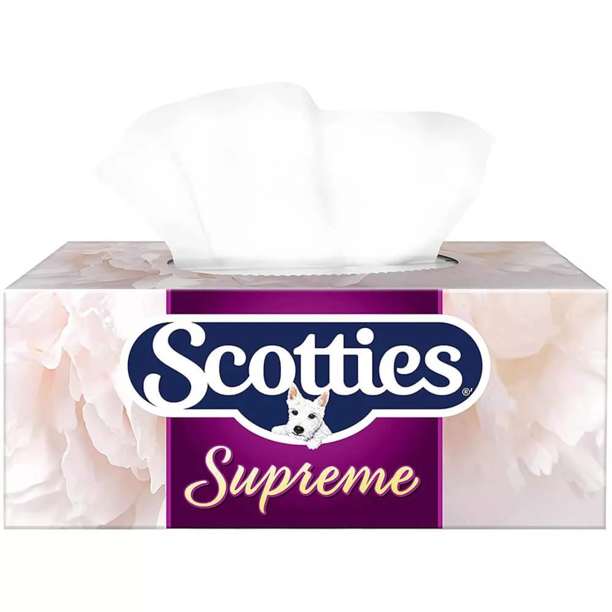 Scotties Supreme Facial Tissue, 3-ply, 81 Sheets, 6-pk Front_Elevated