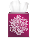 Boîte carrée de papiers-mouchoirs des Fêtes Scotties Front_Elevated