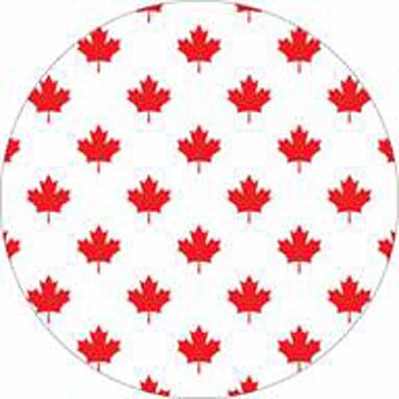 Goodtimes Lunch Paper Plates, Canada Day Edition, 8in, 8pk Canadian
