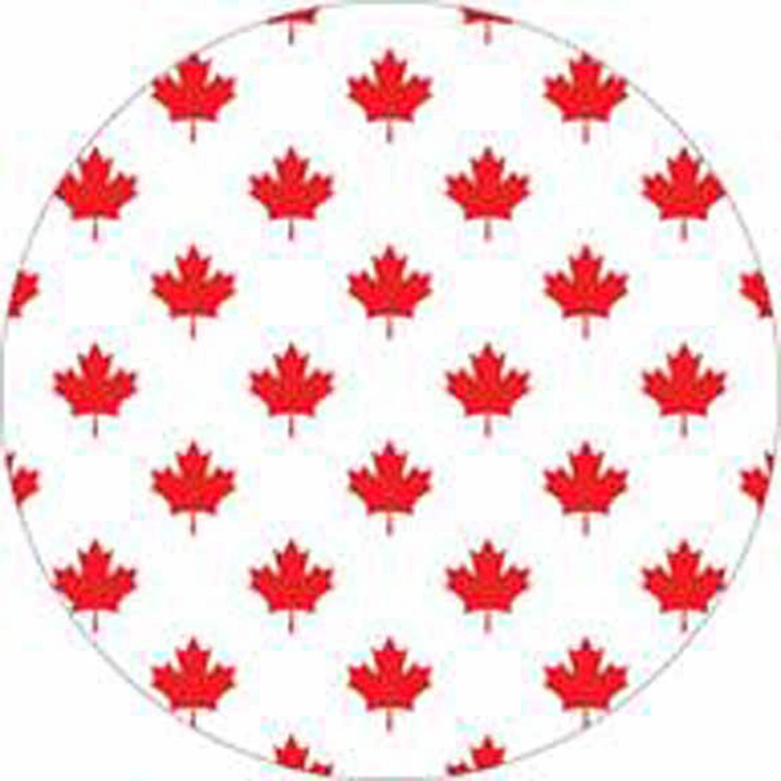 Goodtimes Lunch Paper Plates, Canada Day Edition, 8in, 8pk Canadian