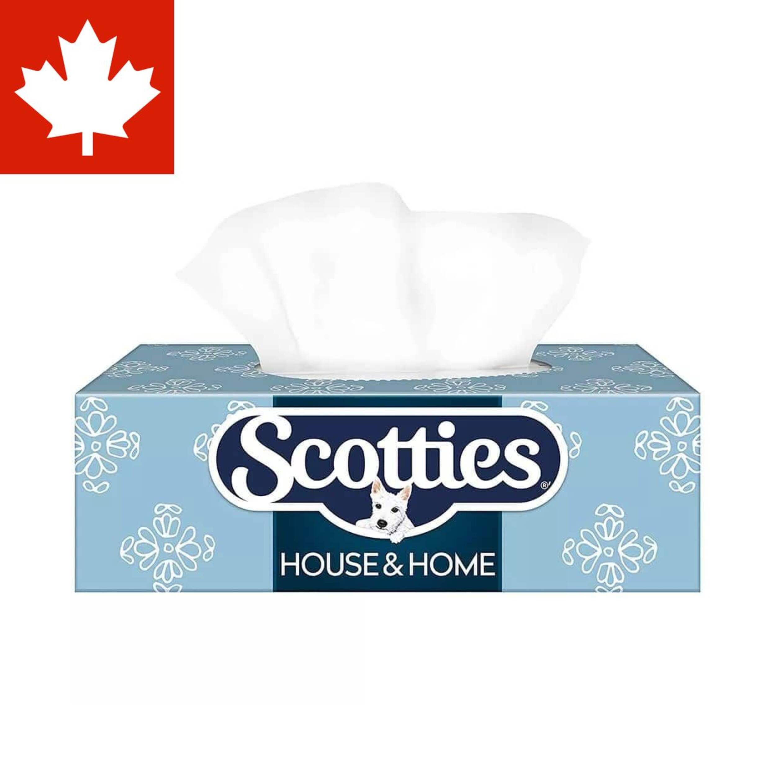 Scotties House & Home Facial Tissue, 2-Ply, 126 Sheets, 18-pk Front_Elevated