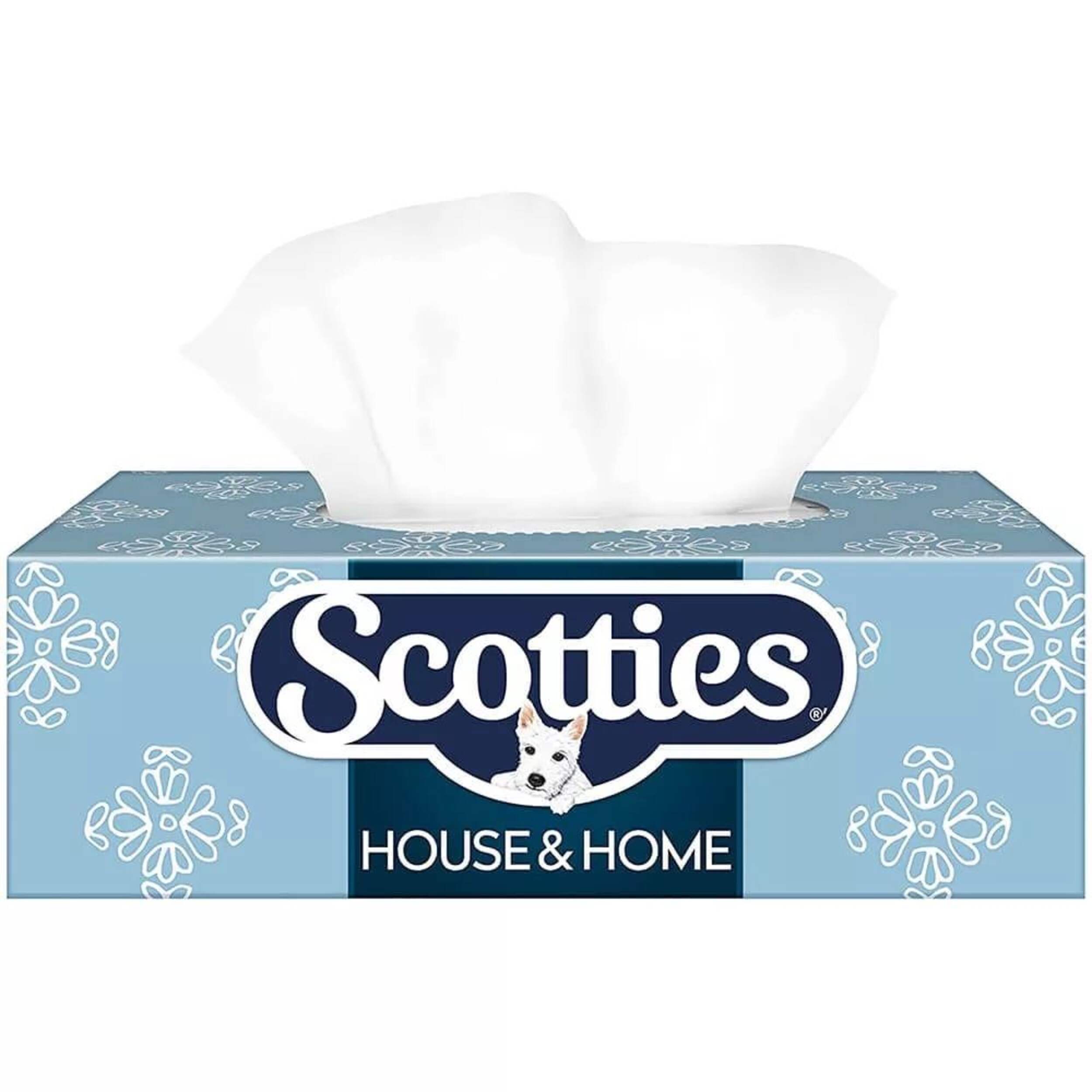 Scotties Facial Tissues, 2-ply, 100-Sheets, 9-pk Front_Elevated