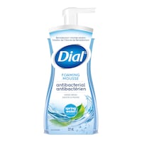 Savon moussant antibactérien pour mains Dial, source naturelle, 221 mL Front_Flat