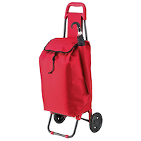 Chariot de magasinage pliable à parois souples Maison Kleen, 44 L