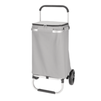 Chariot de magasinage pliant en aluminium à fermeture à glissière Type A, 17,5 x 4,3 x 27 po