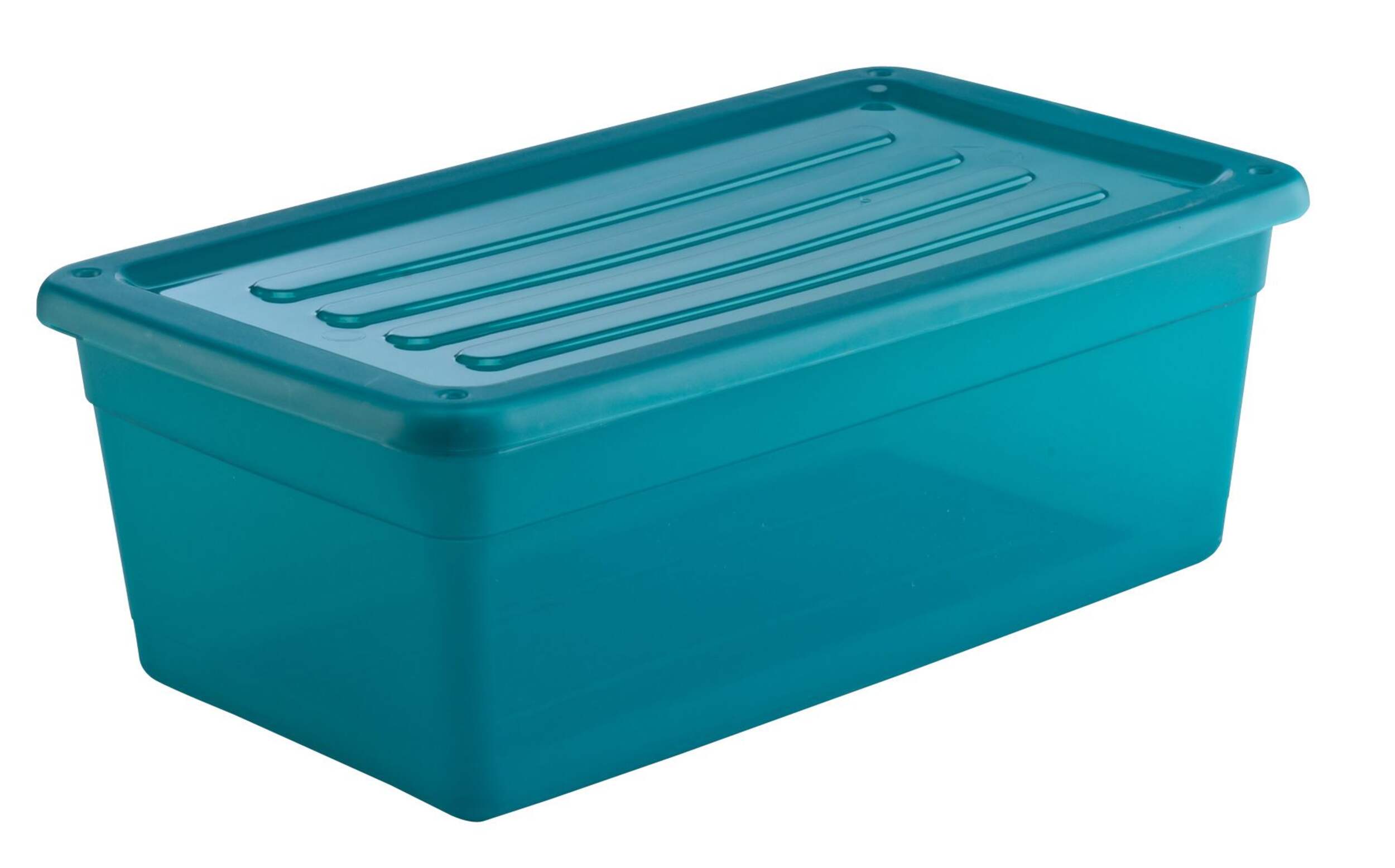 Gracious Living Translucent Shoebox, 6L Front_Angled_Right
