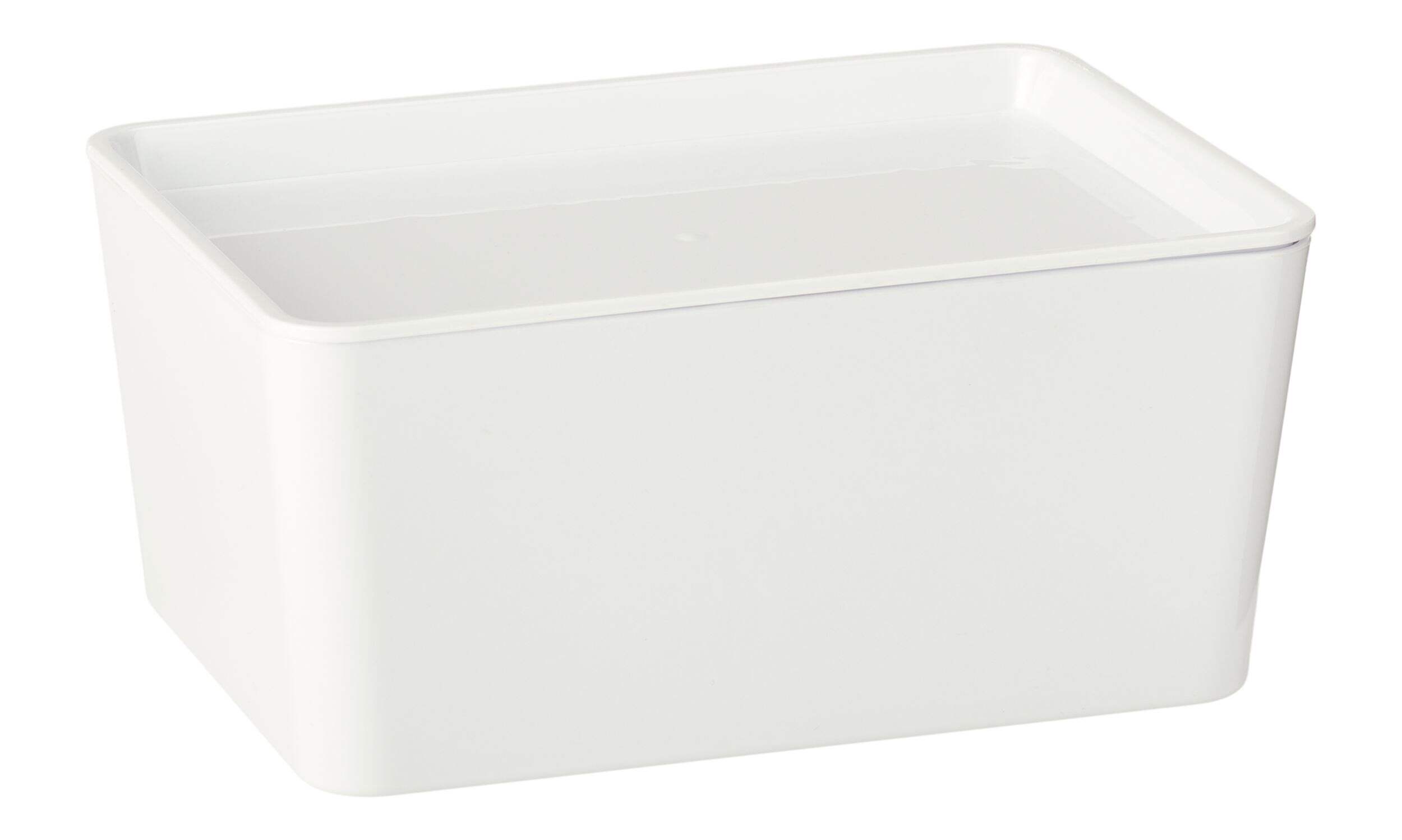 type A Storage Bin with Lid, 1.5-L Front_Three_Fourths_Angled_Right