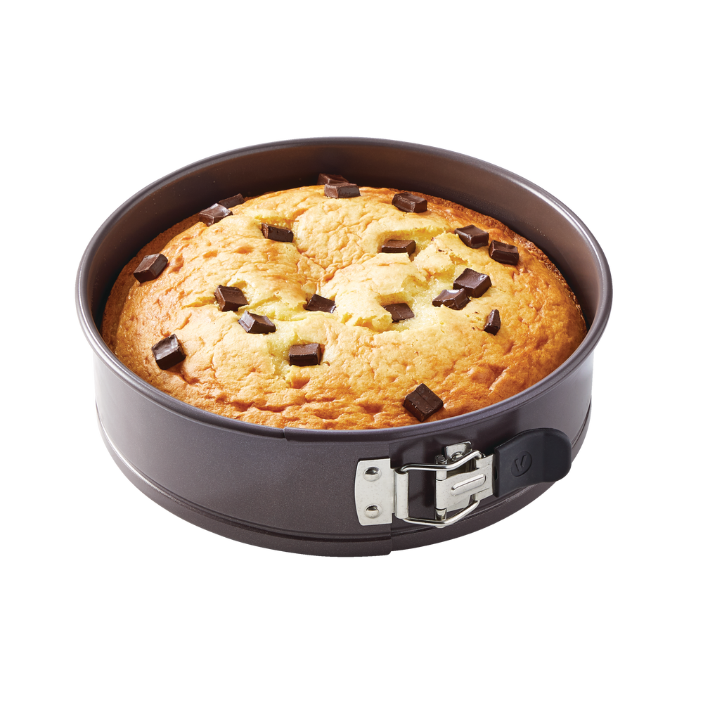 Vida by PADERNO NonStick Springform Cake Pan, 9in Canadian Tire