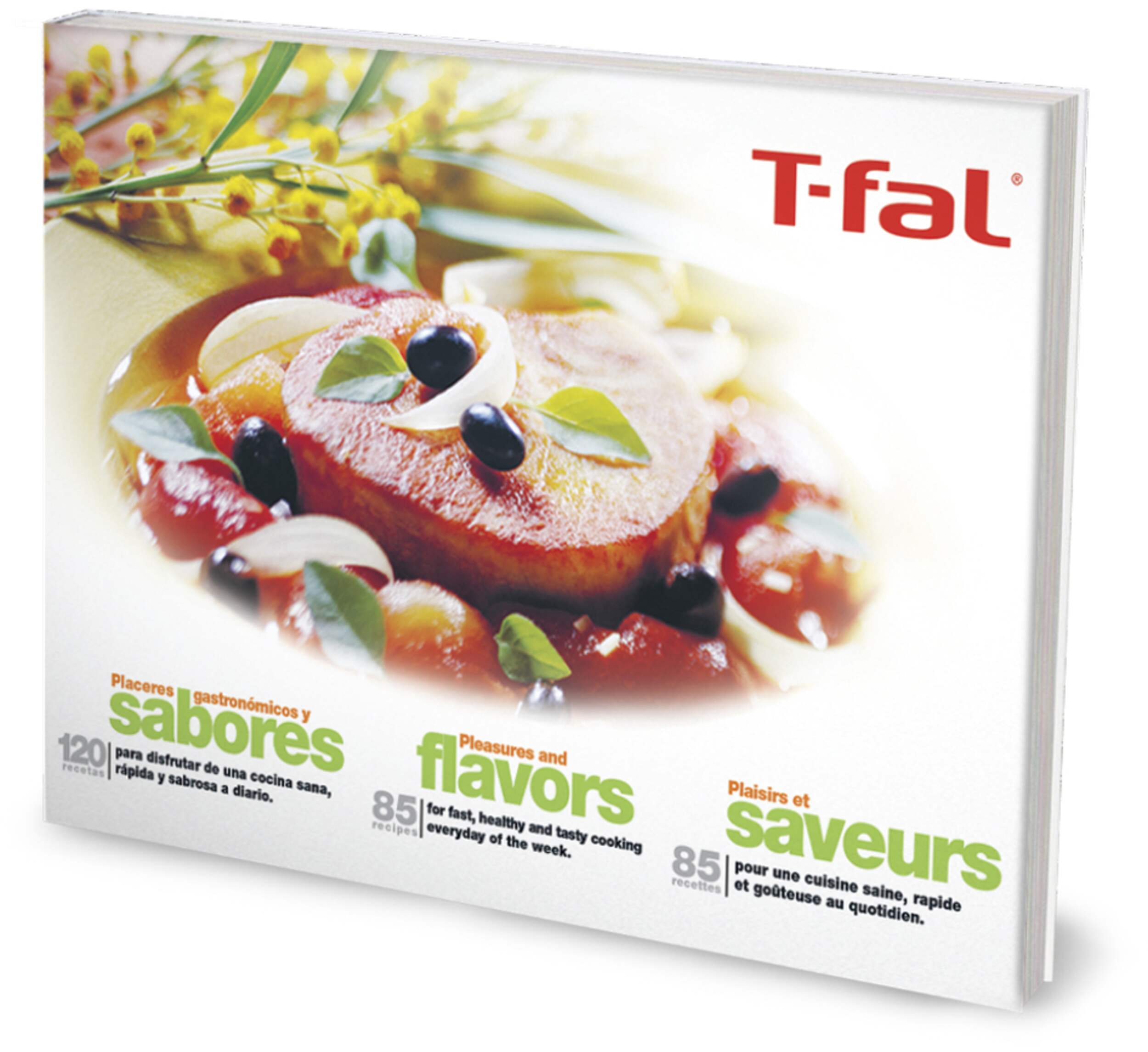 Tfal Clipso Pressure Cooker, 6.5qt Canadian Tire