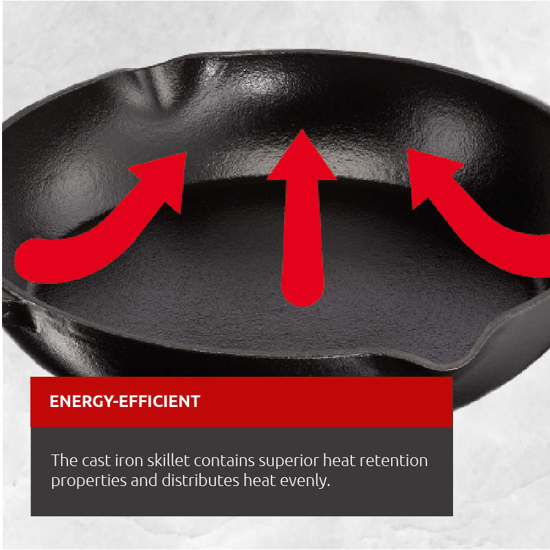 Lagostina Cast Iron Preseasoned Frying Pan, Oven & Broiler Safe, Black