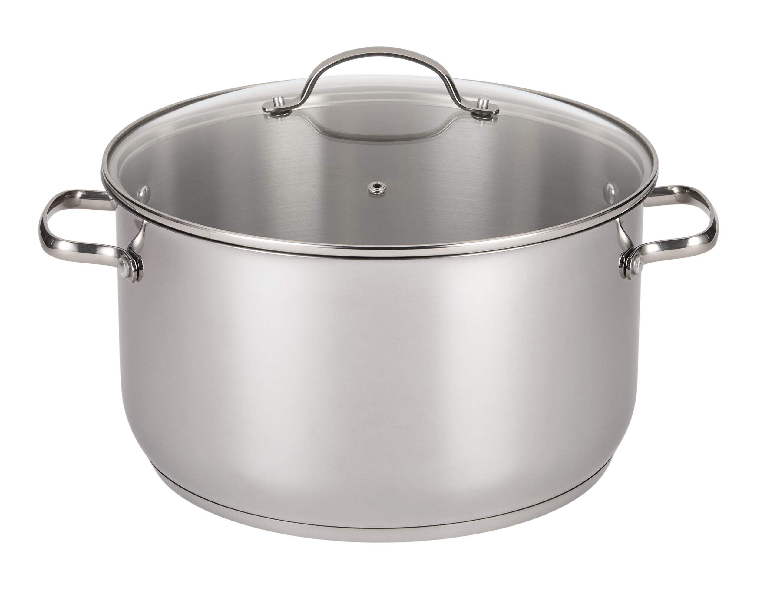 Master Chef Stainless Steel Stock Pot with Glass Lid, 10-qt Front_Elevated