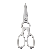 PADERNO Stainless Steel Shears Front_Flat