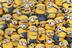 Minions