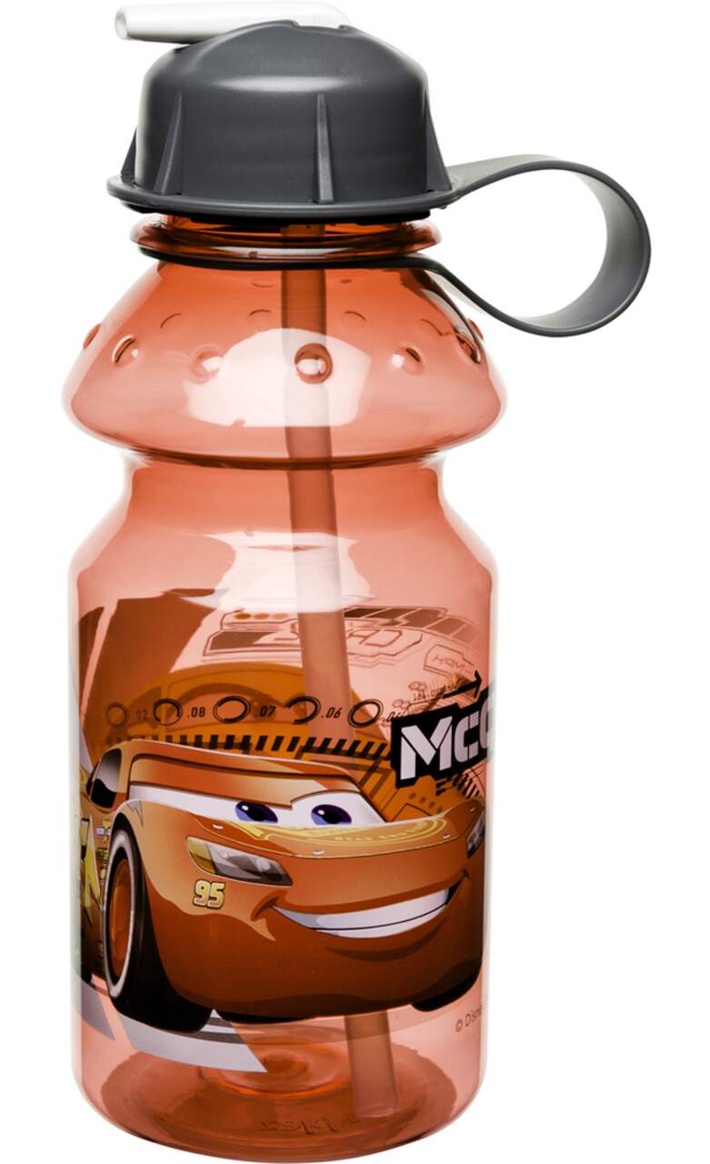 Zak Designs Disney Cars 3 - Stainless Steel Water Bottle with One Hand  Operation Action Lid and Built-in Carrying Loop, Kids Water Bottle with  Straw