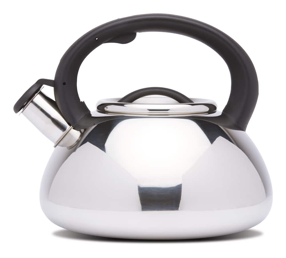 master chef stainless steel kettle