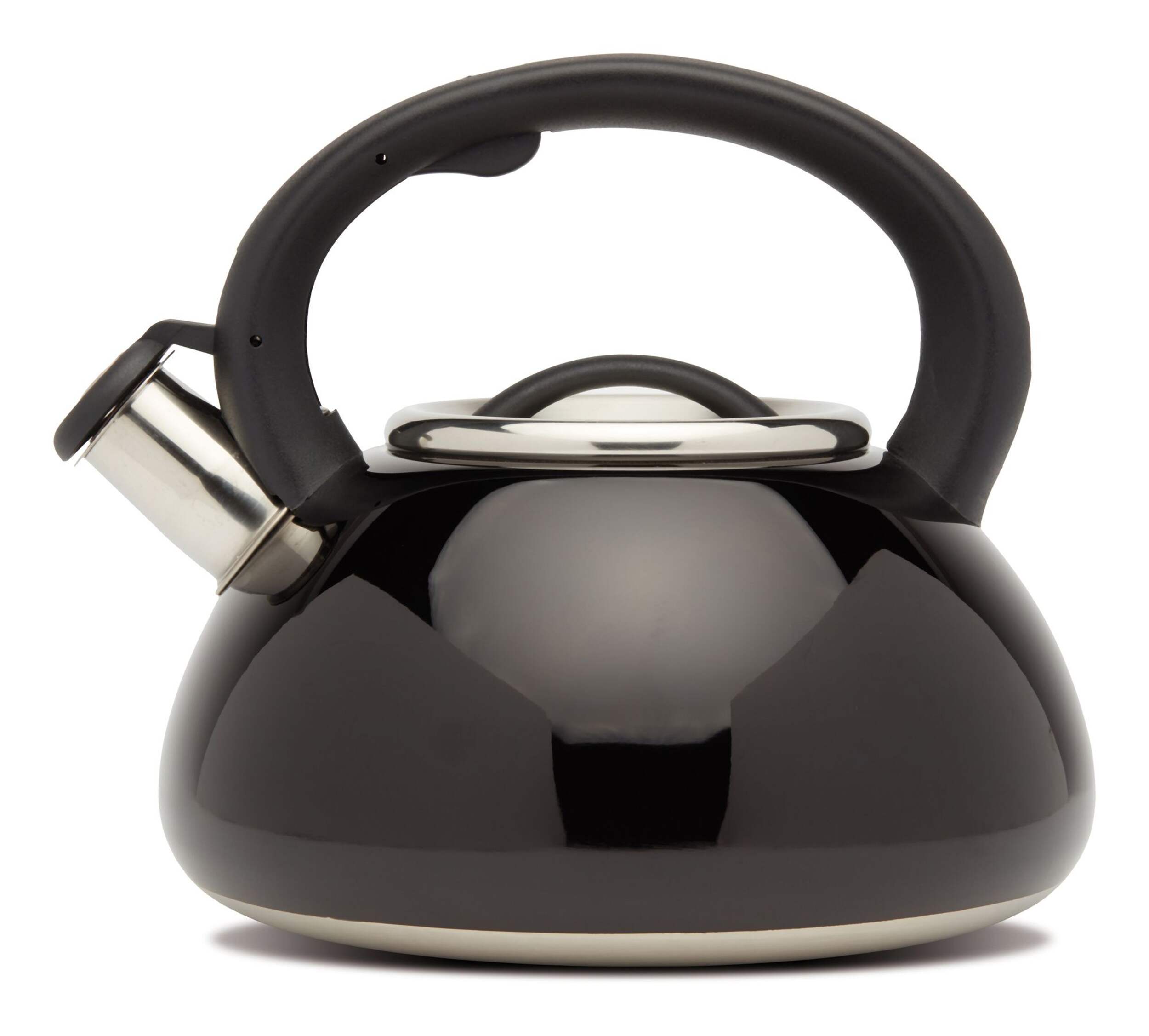 MASTER Chef Stainless Steel Kettle, Black Side_Left