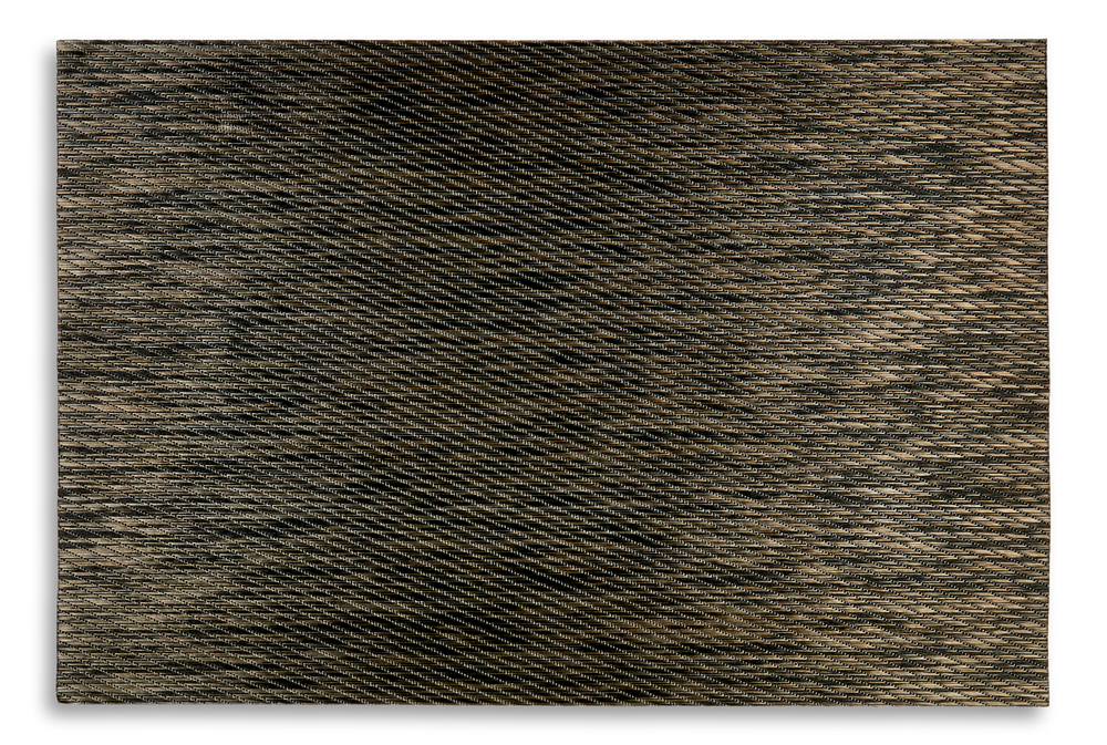 CANVAS Birchmont Rectangle Vinyl & Polyester Placemats, 13in x 19in