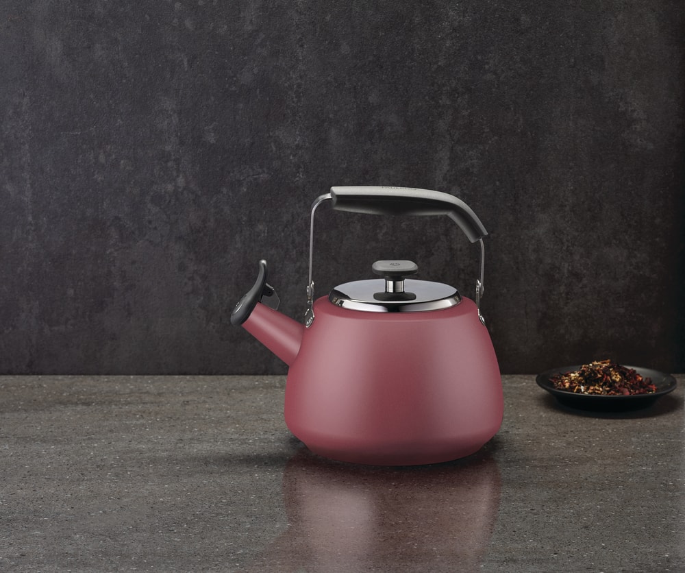 paderno stainless steel stovetop kettle