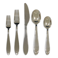 CANVAS Lampton Stainless Steel Flatware Set, 20-pc Front_Flat