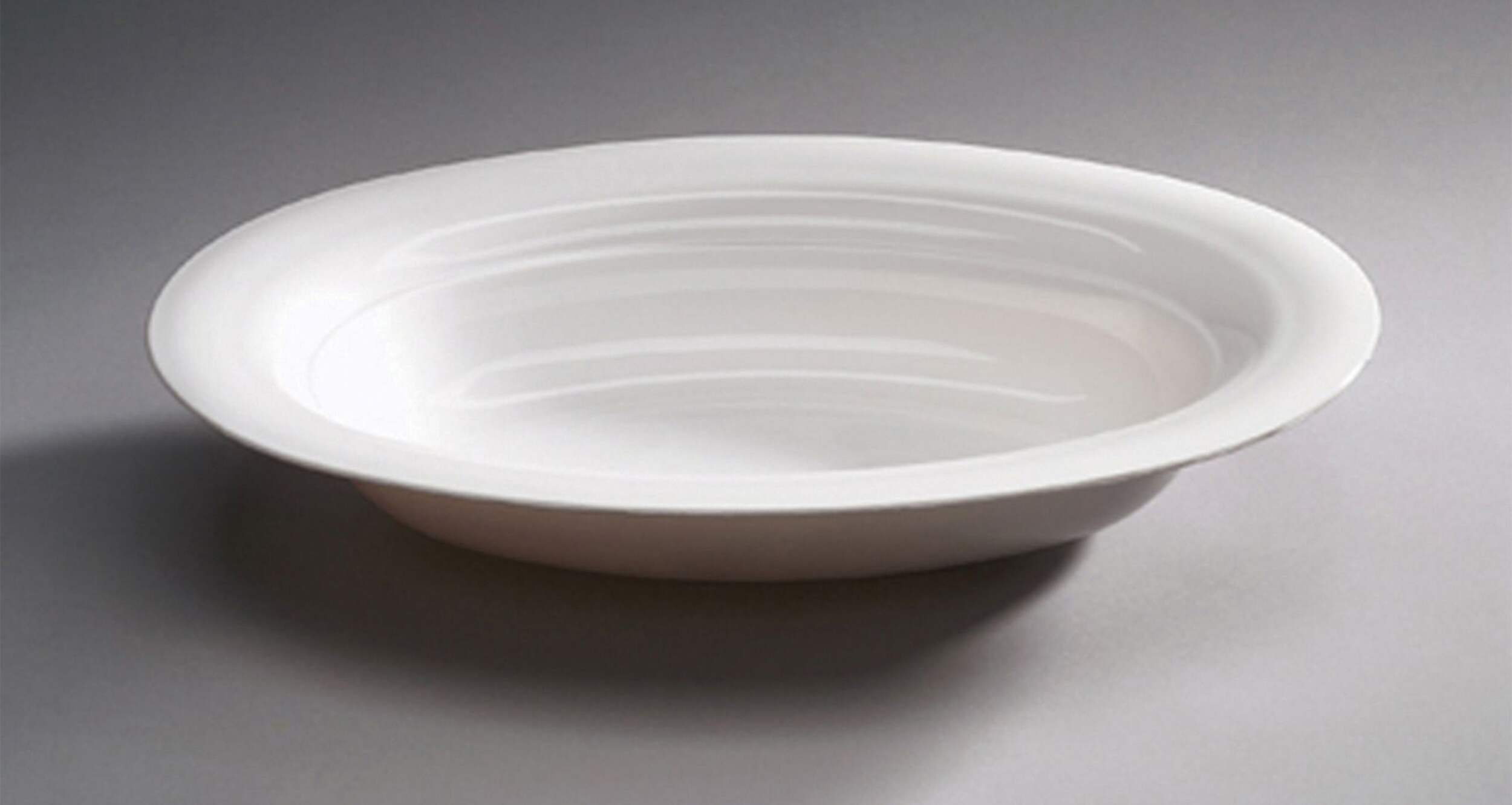 Arrow Plastic Serving Bowl, Large Overhead_Plunge