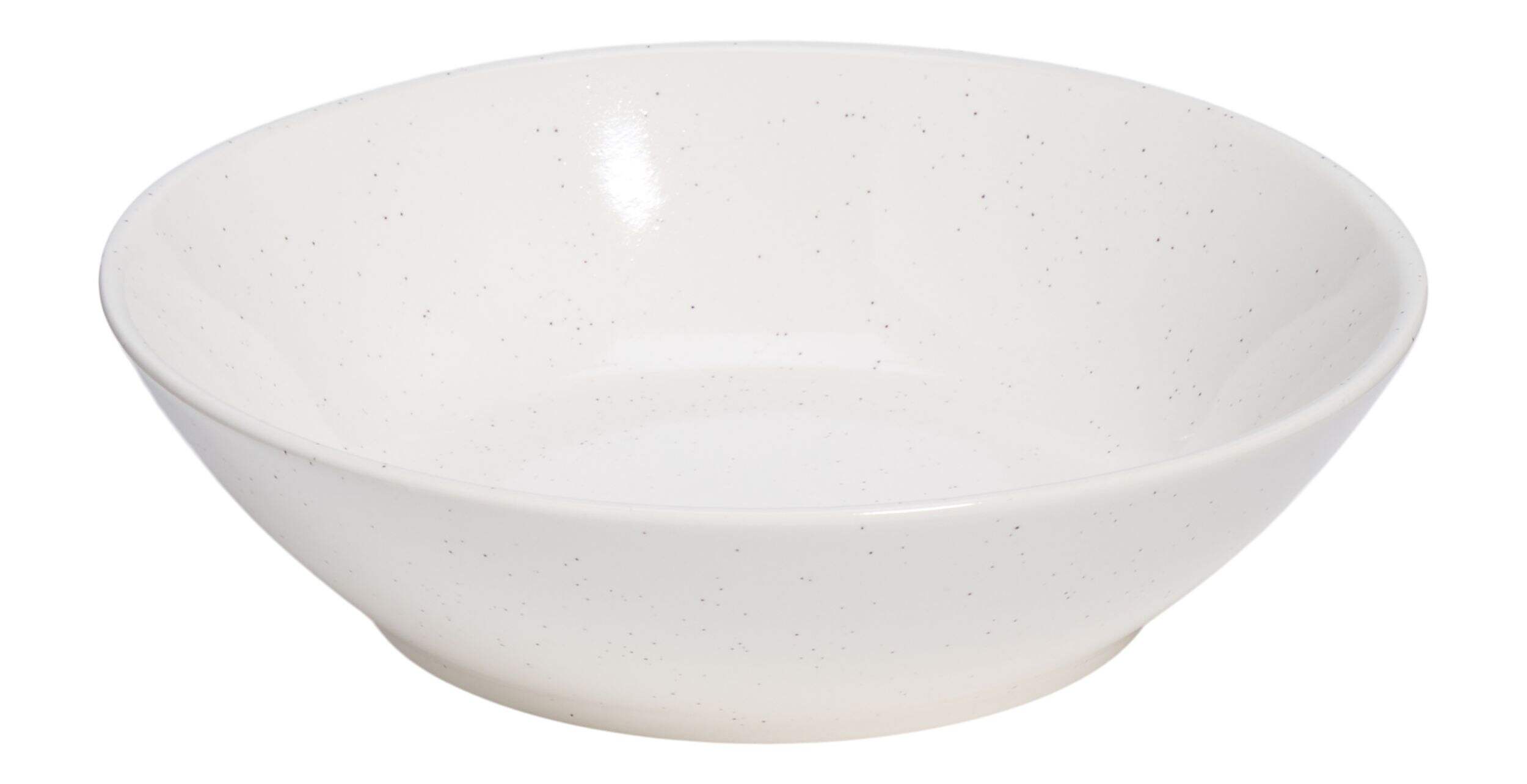 CANVAS Bettina Glossy Stoneware Dinner Bowl, 1-pc, White Speckle Front_Elevated