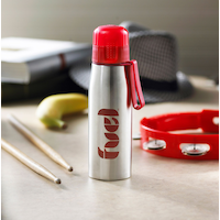 Fuel Stainless Steel Bottle, 17-oz.