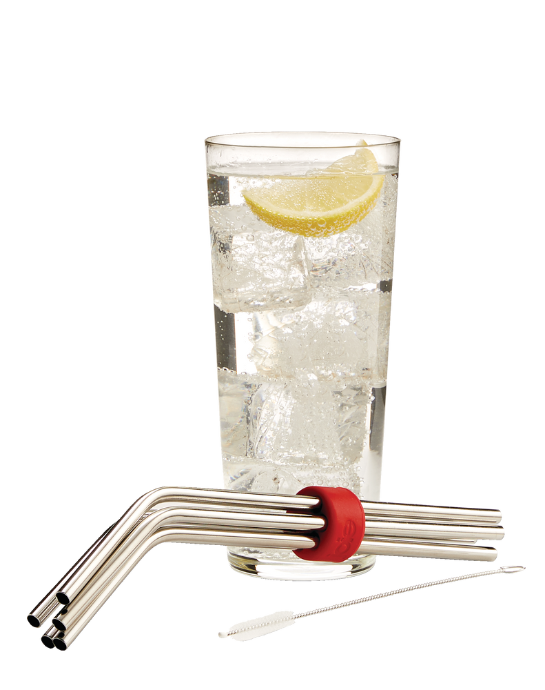 Joie Reuseable Stainless Steel Straw Set with Straw Cleaner, 8pc