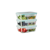 Vida by PADERNO Glass Clip Food Storage Container Set with Compartments and Leakproof Lids, 3 Count Front_Angled_Right