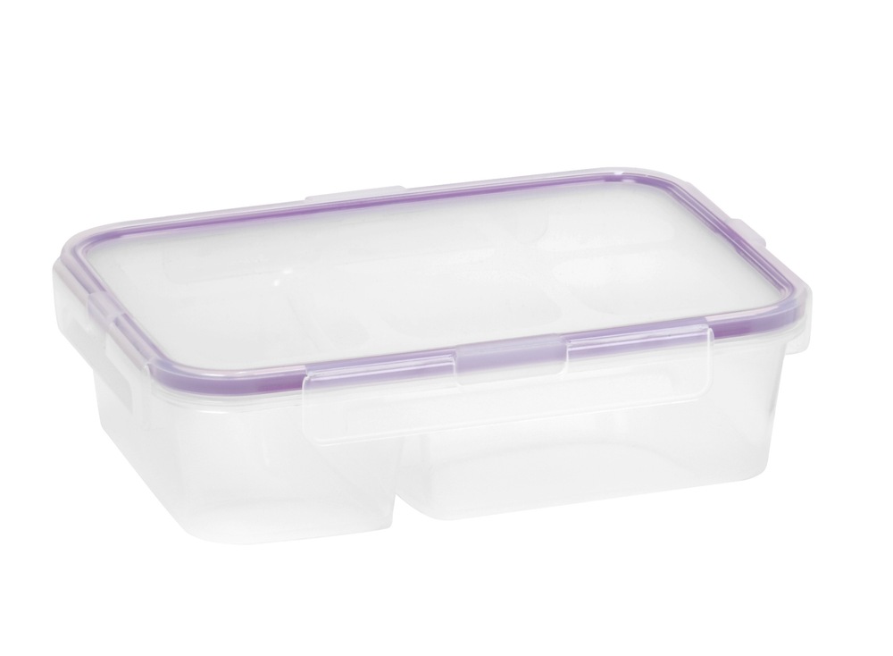 Medium Rectangle Container with Dividers Canadian Tire