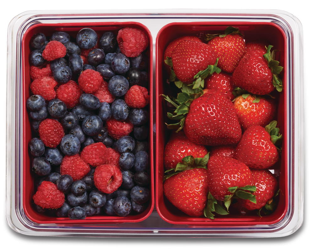 MASTER Chef Plastic Stackable Fridge Bin with Berry Baskets, 4pc