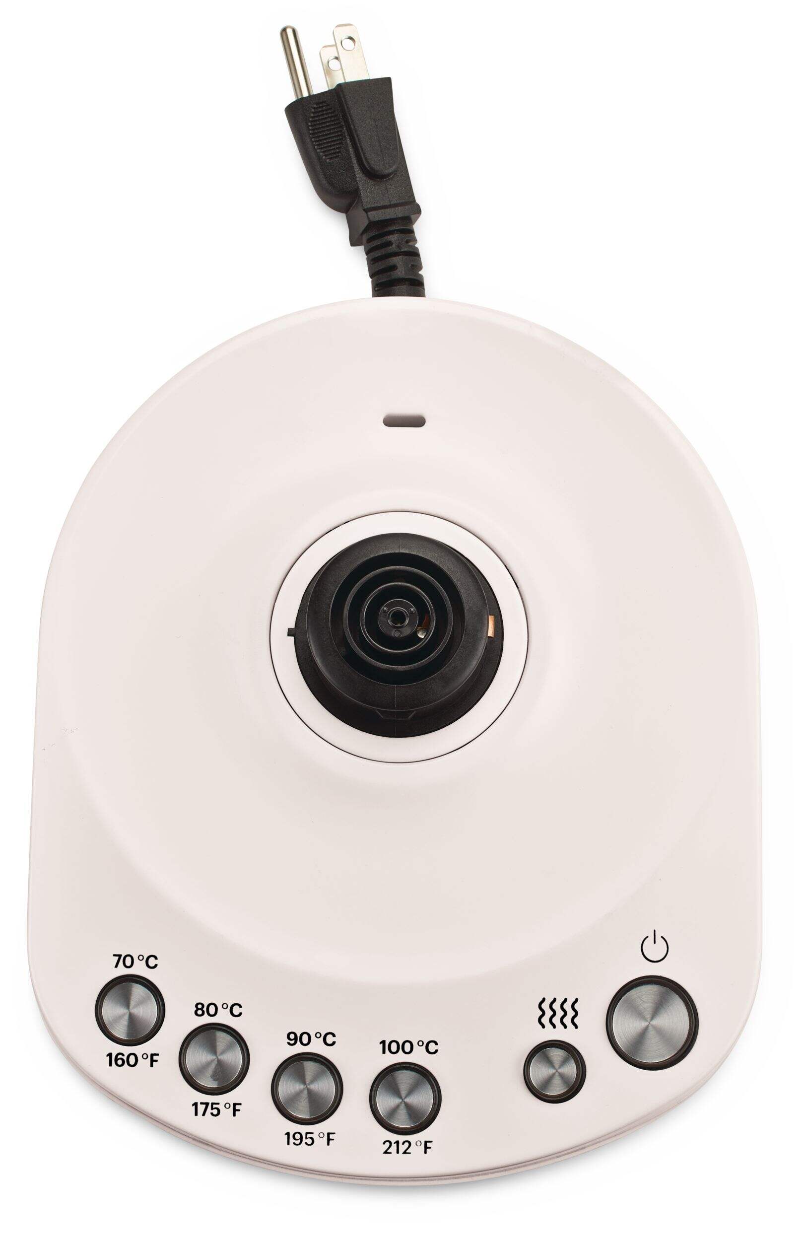 Vida by PADERNO Electric Variable Temperature Steeping Kettle