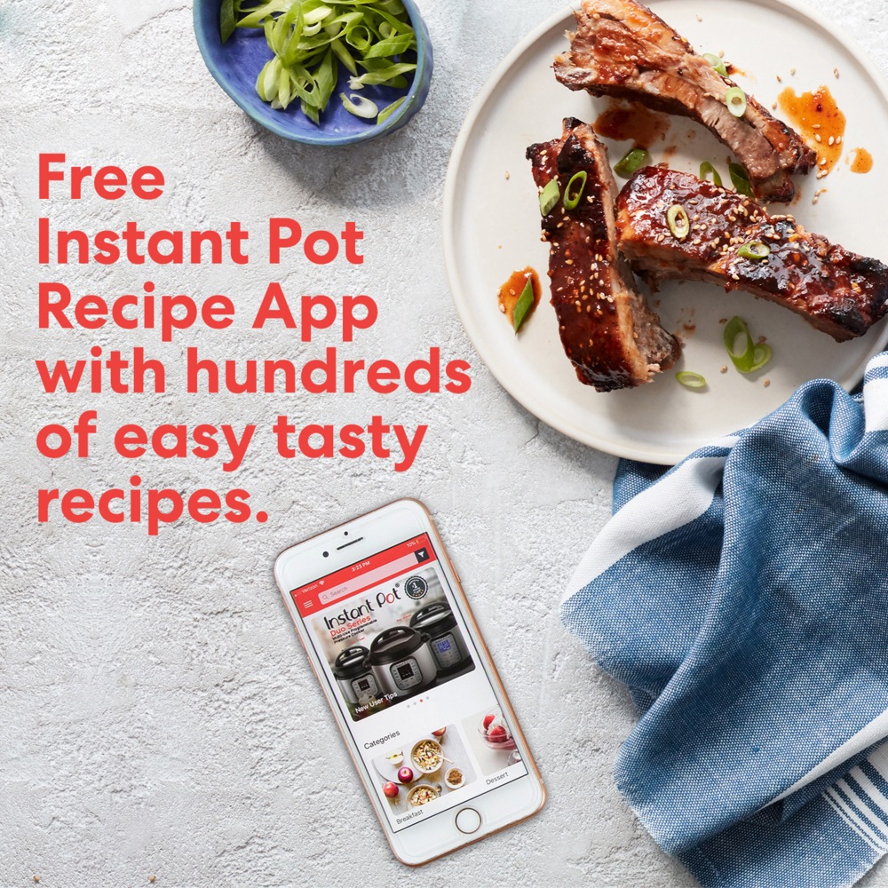 instant pot 6qt recipes