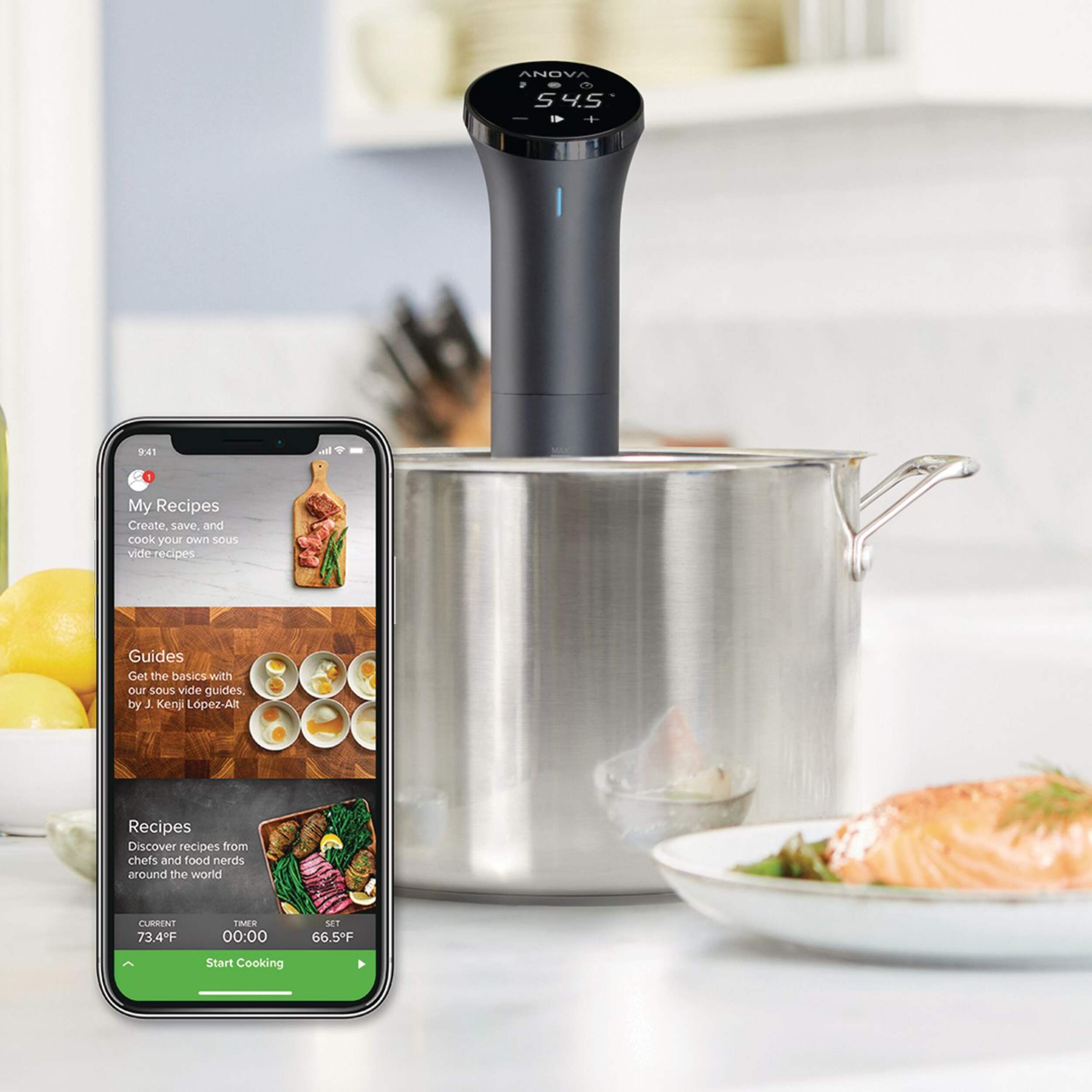 Anova Culinary Bluetooth Connected Sous Vide Precision Cooker Nano/Food