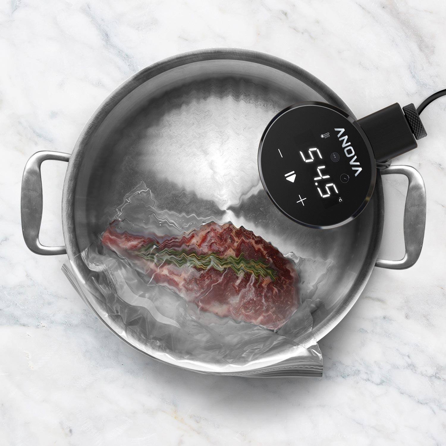 canadian tire anova sous vide