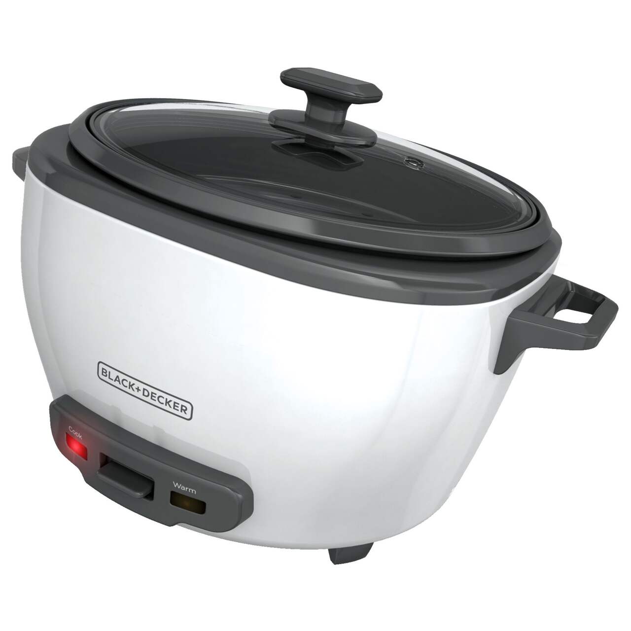 Black & Decker rice cooker and candy melter