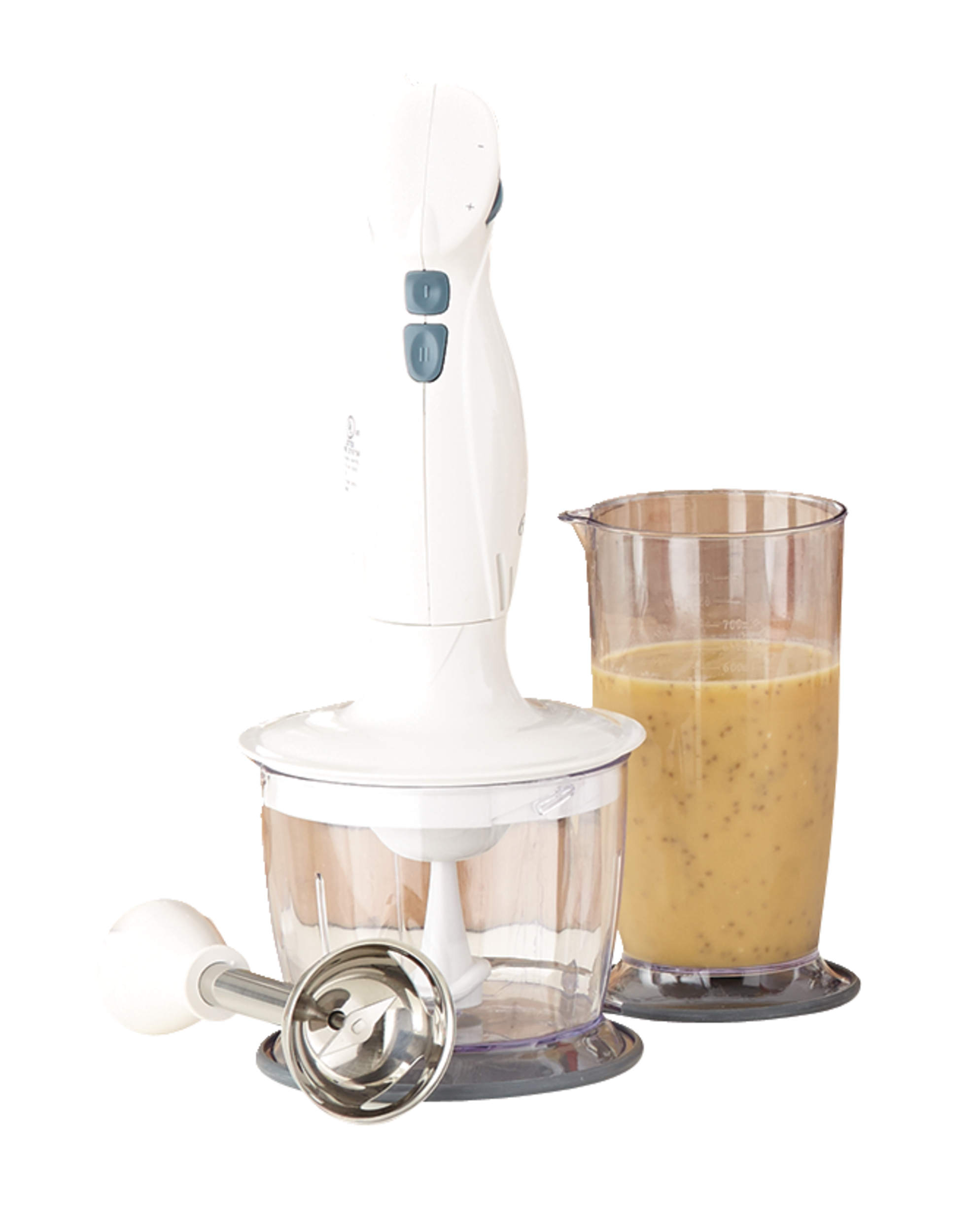 Oster Immersion Hand Blender Canadian Tire