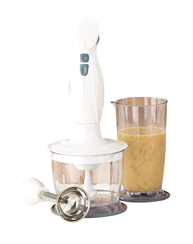 Oster Immersion Hand Blender Canadian Tire