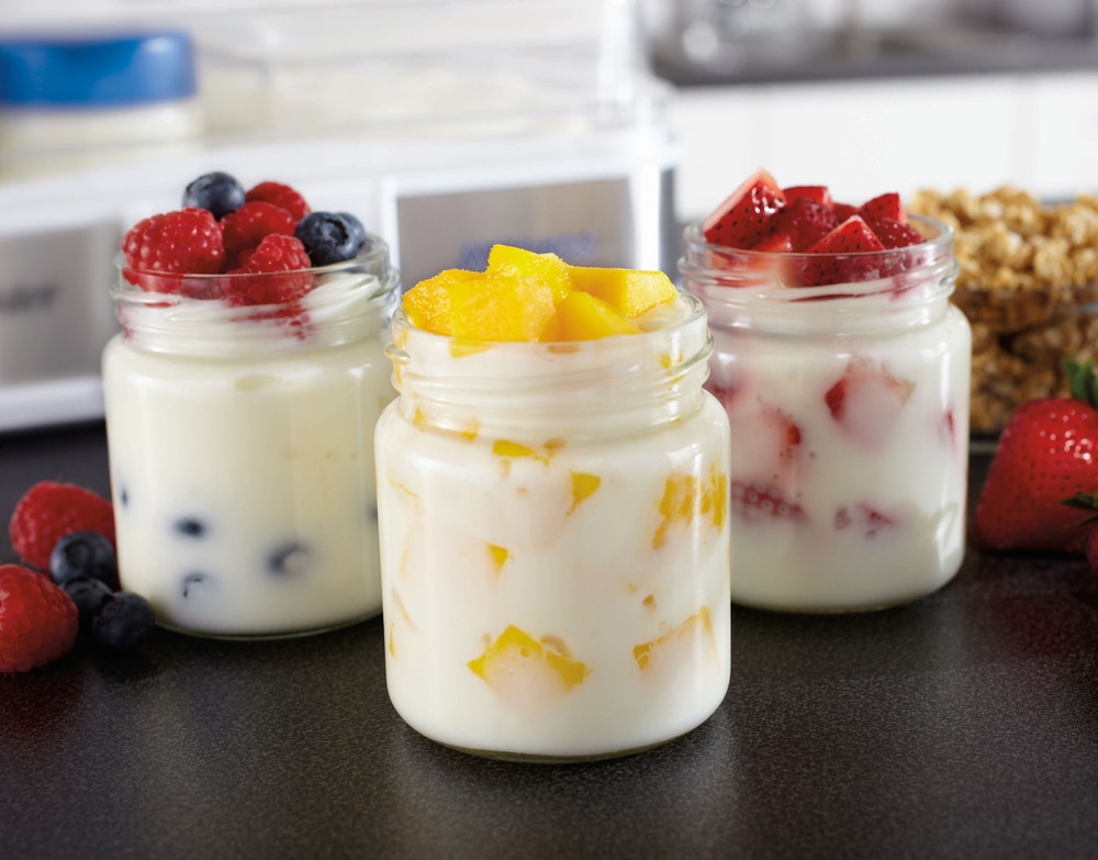 Oster® Mykonos™ Greek Yoghurt Maker, Large Canadian Tire