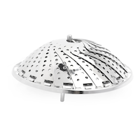 Stainless Steel Steamer, 9-in