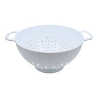 Plastic Colander, 4.7-L Front_Elevated