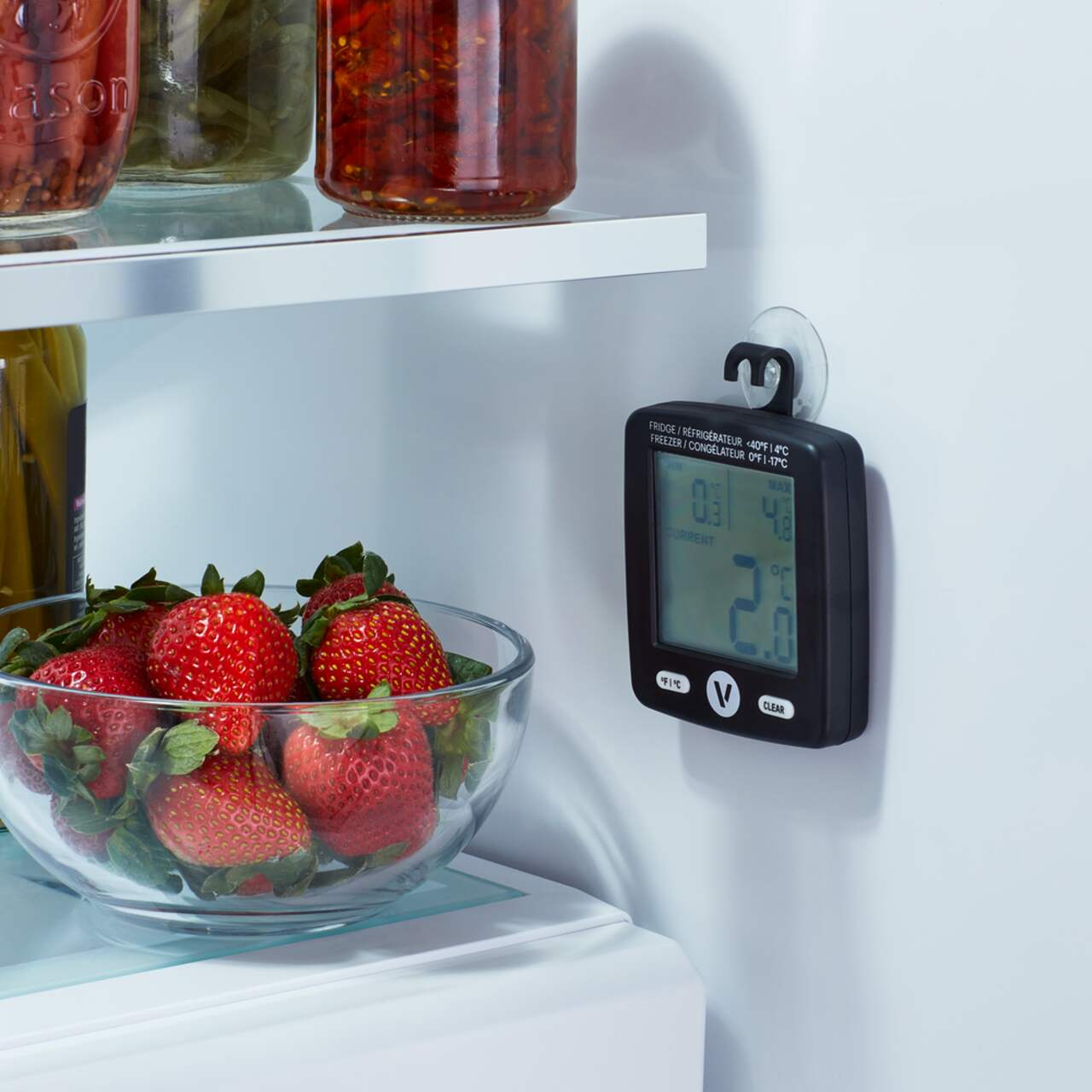 Thermomètre numérique de réfrigérateur/congélateur Vida by PADERNO