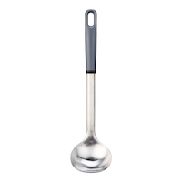 Simplicite Stainless Steel Ladle Front_Flat