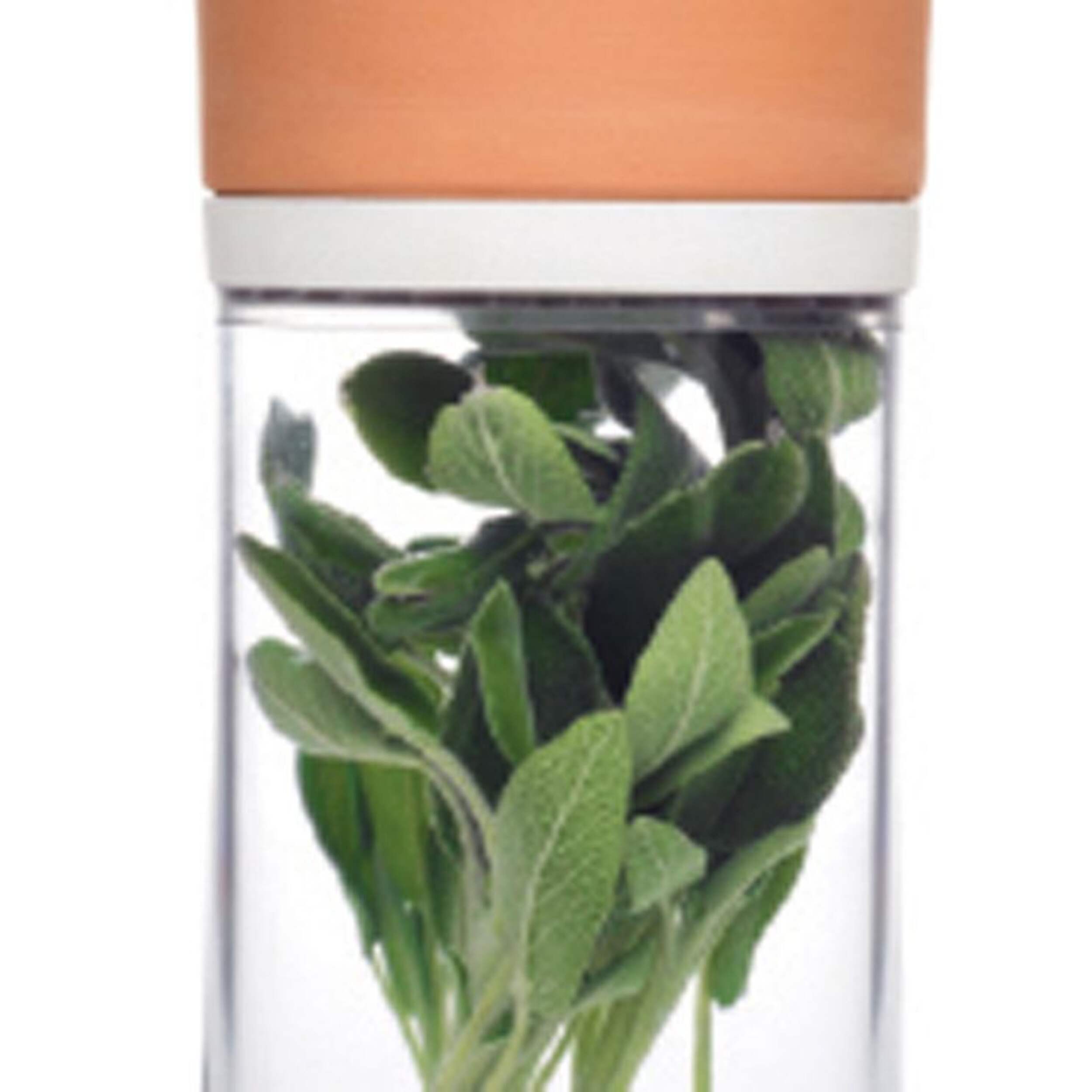Joie Fresh Herb Pod with Terracotta Lid CloseUp