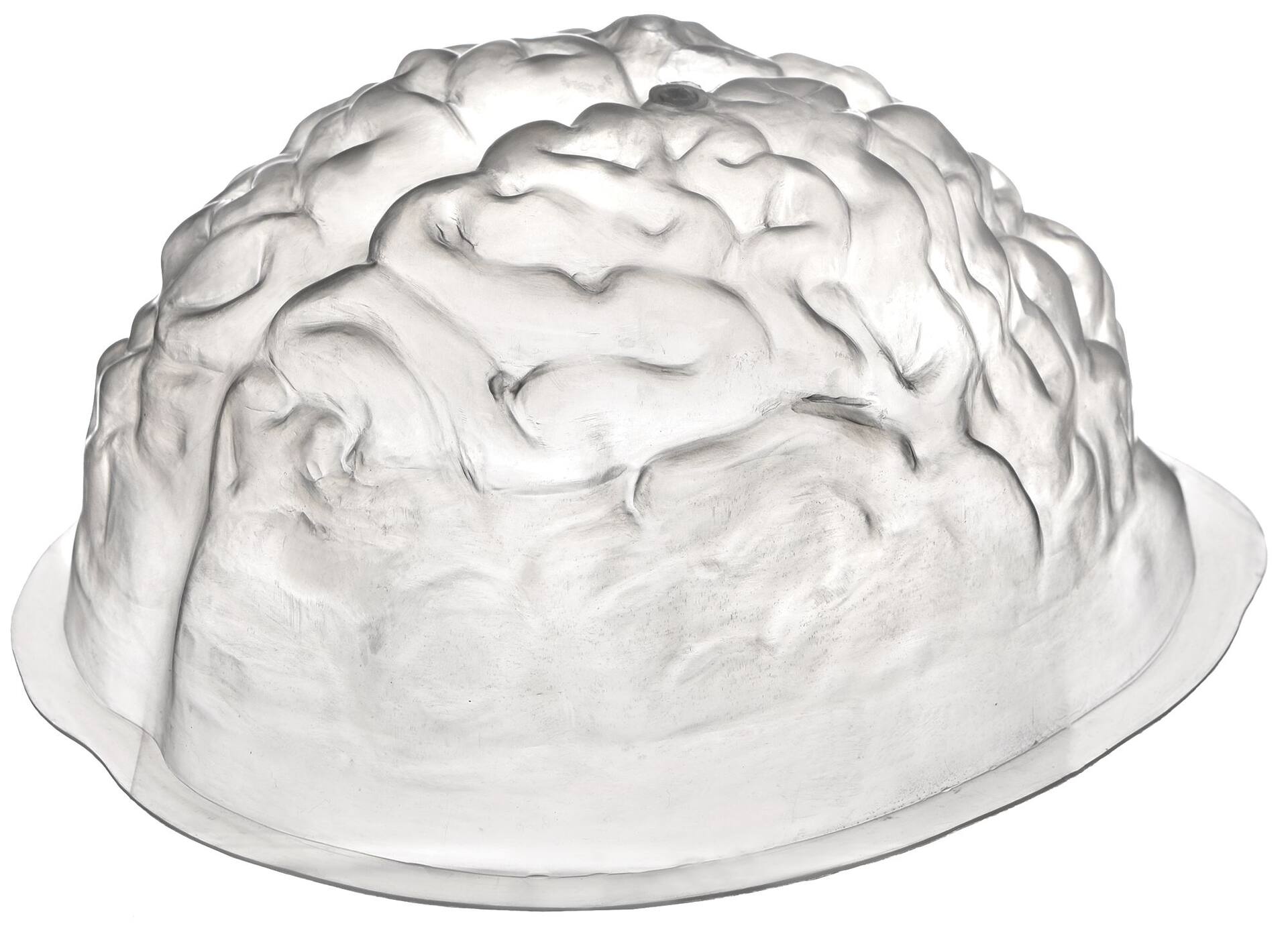 Brain Shaped Reusable Plastic Mold, White, 48-oz, Table Decoration for  Halloween