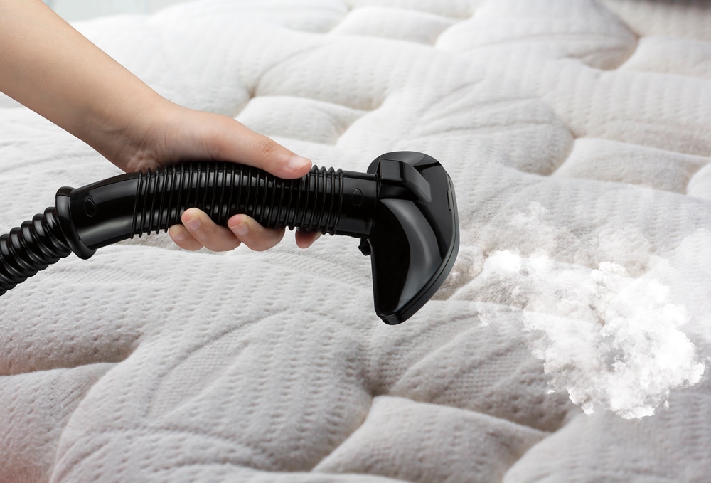 Conair 1250W Upright Clothes Steamer, 1.5 hours of Continuous Steam, 45